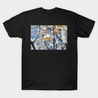 tree branch with small yellow berries T-Shirt
